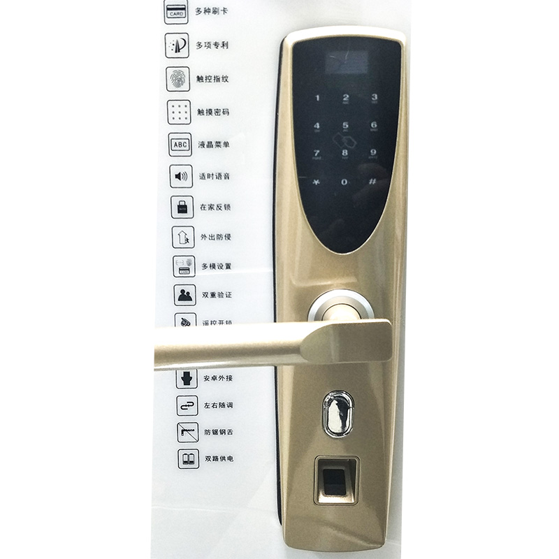 Biometric fingerprint smart door lock with wifi bluetooth doors accessories